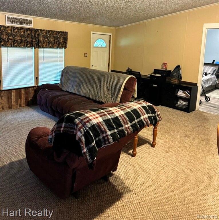 4670 Kilgore Road Croswell, MI 48422 - Photo 24 of 39