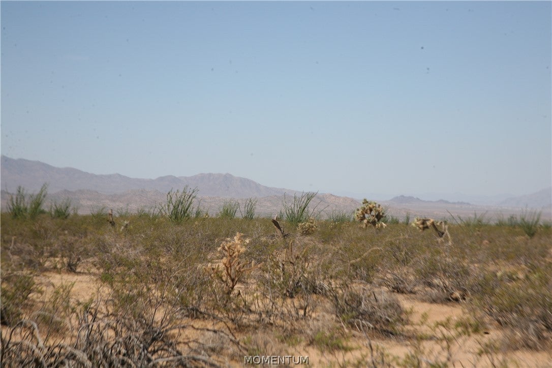 243-15-016 South Custer Road, Unit 3491 Yucca, AZ 86438 - Photo 23 of 61 Gallery Image 23