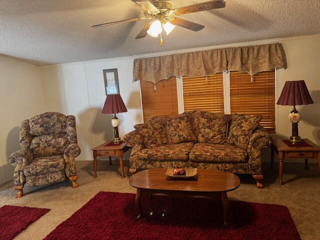 1211 Pleasure Road Summerton, SC 29148 - Photo 18 of 44 Gallery Image 18