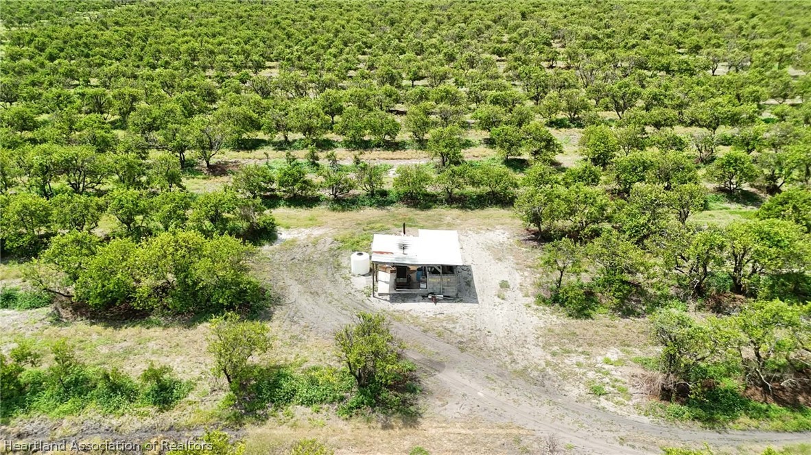 Crewsville Road Zolfo Springs, FL 33890 - Photo 23 of 34 a view of a yard