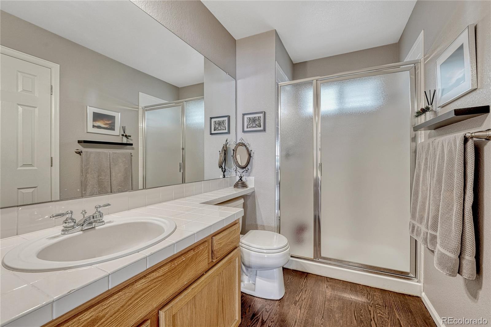 380 West Rose Finch Circle Highlands Ranch, CO 80129 - Photo 18 of 41