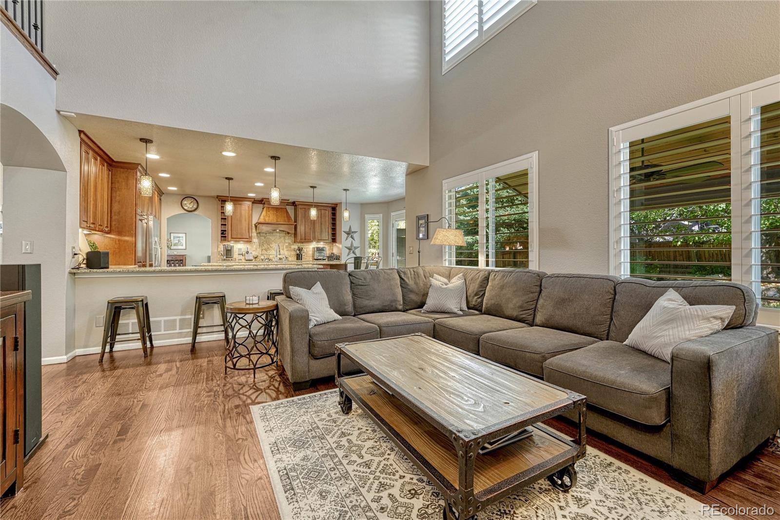 380 West Rose Finch Circle Highlands Ranch, CO 80129 - Photo 10 of 41