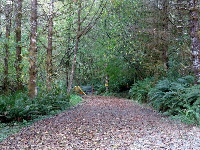 22505 Highway 101 South Beaver, OR 97112 - Photo 13 of 30 AccessRd4