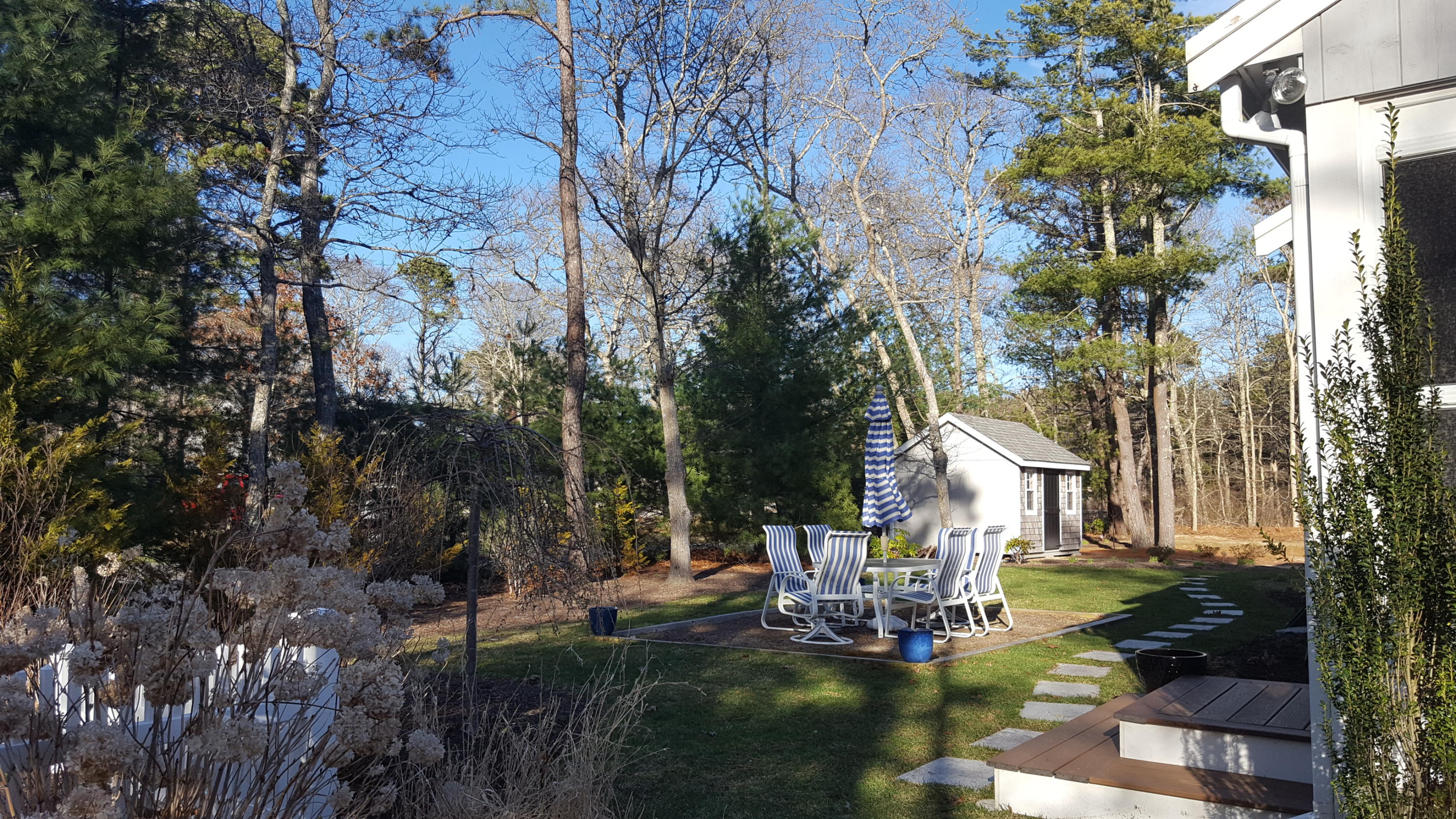 8 Nehoiden Road Mashpee, MA 02649 - Photo 15 of 47 a view of yard with tree in front of it