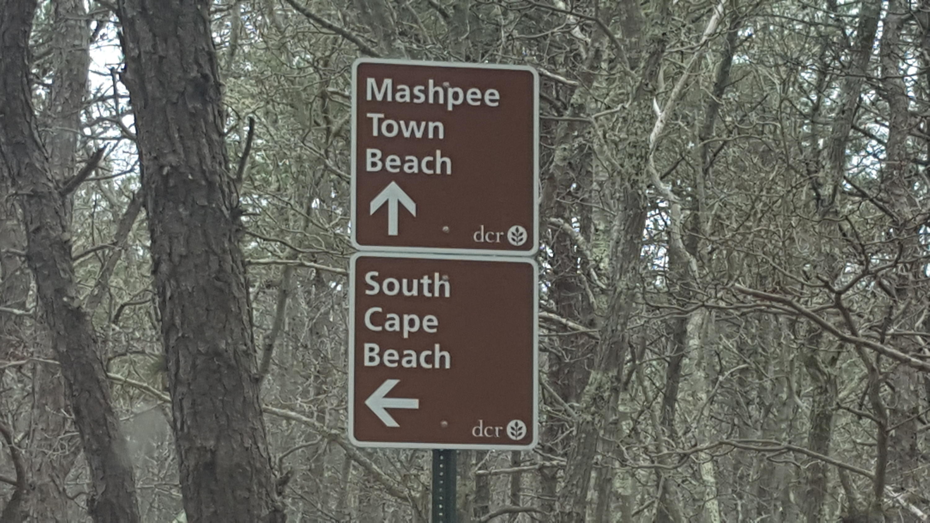 8 Nehoiden Road Mashpee, MA 02649 - Photo 43 of 47 a sign broad on side of the road