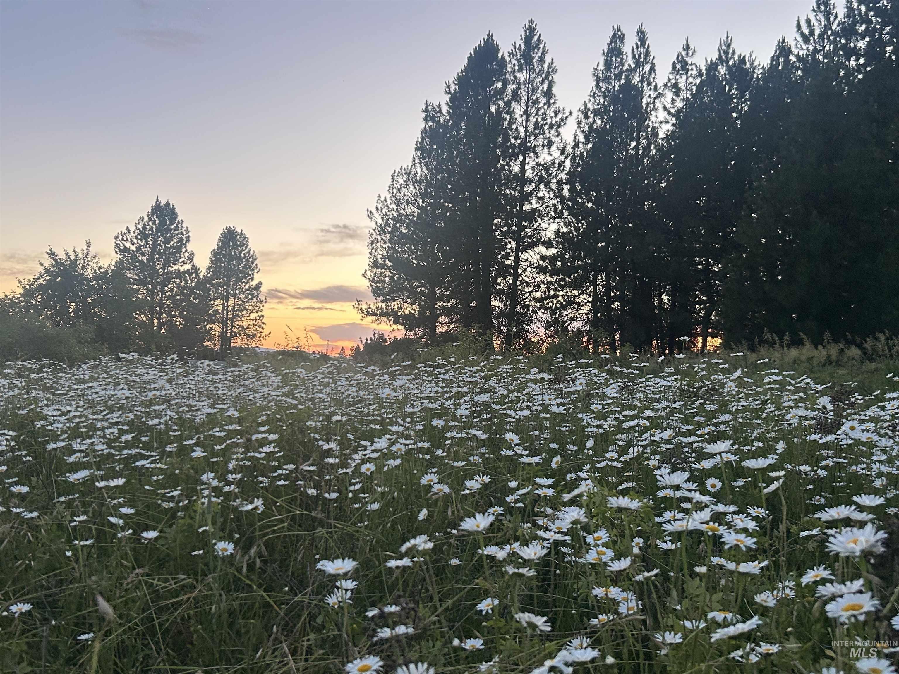 Tbd Lot 2 Tbd Road Kooskia, ID 83539 - Photo 3 of 15