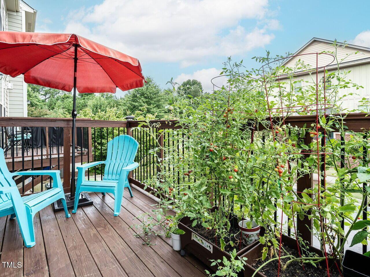 1316 Cornell Place Raleigh, NC 27607 - Photo 27 of 31 a view of a deck with furniture and a garden