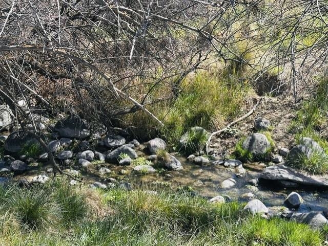1010 Southwest 11th Avenue Cedaredge, CO 81413 - Photo 16 of 28