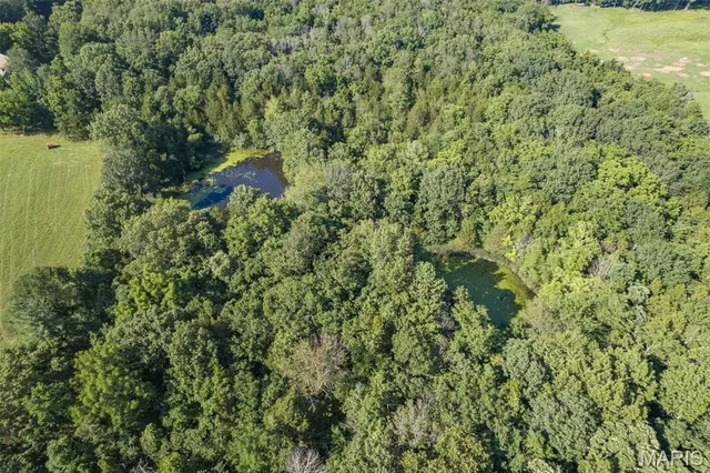 $699,000 | 5450 Aulsbury Chapel Road, Bonne Terre, MO 63628