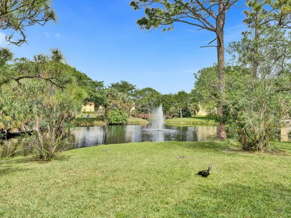 a view of a house with a big yard