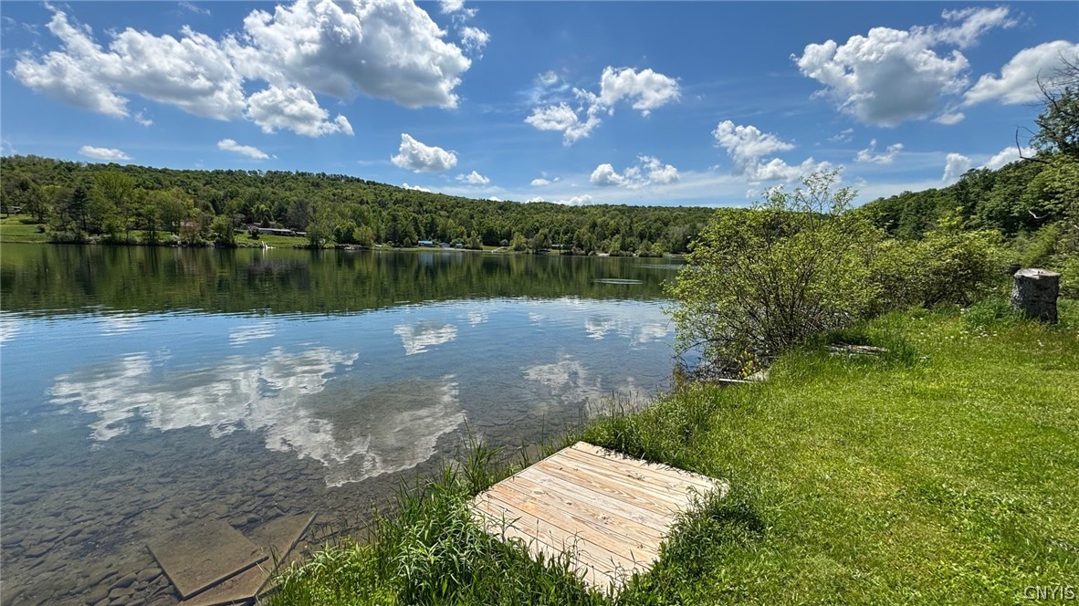 5895 Geer Road Lebanon, NY 13346 - Photo 27 of 32