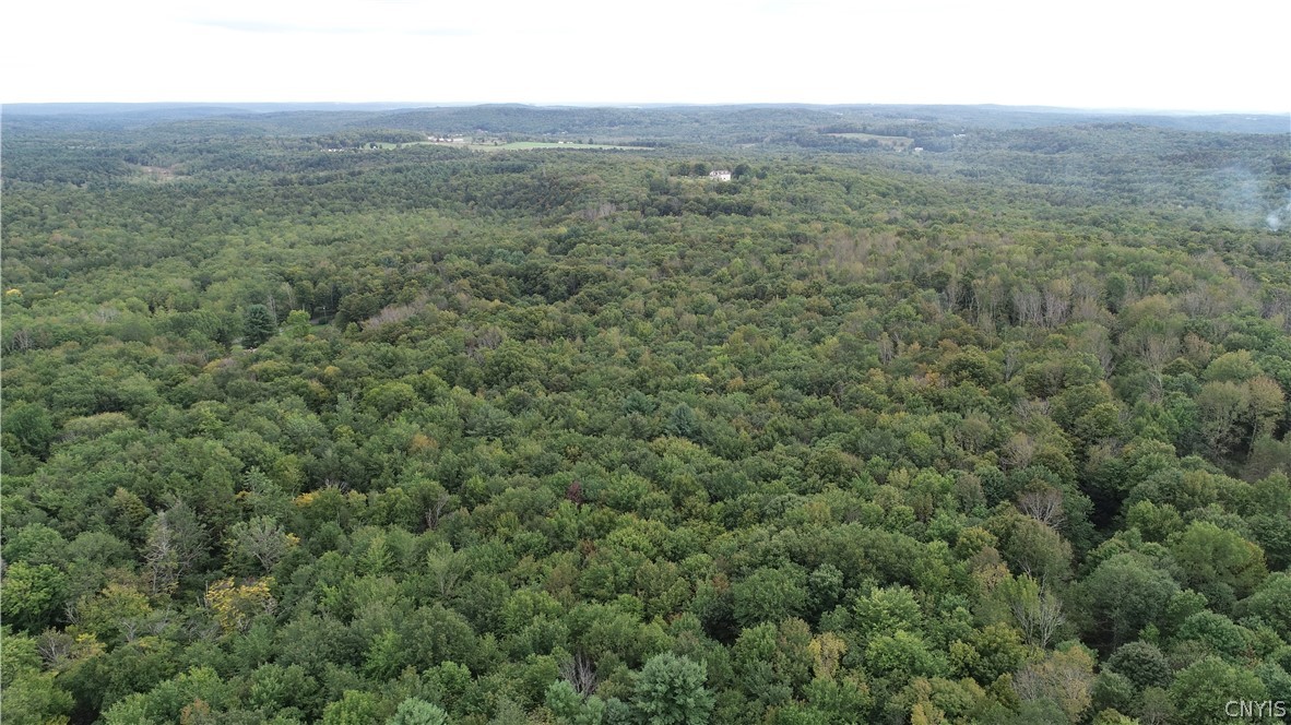 L5.1 L5.1 Cross Farm Road Hurleyville, NY 12747 - Photo 3 of 8