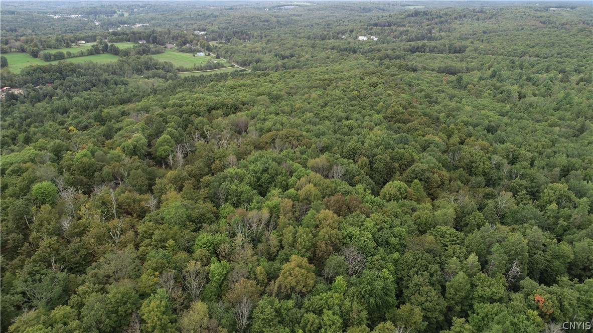 L5.1 L5.1 Cross Farm Road Hurleyville, NY 12747 - Photo 4 of 8