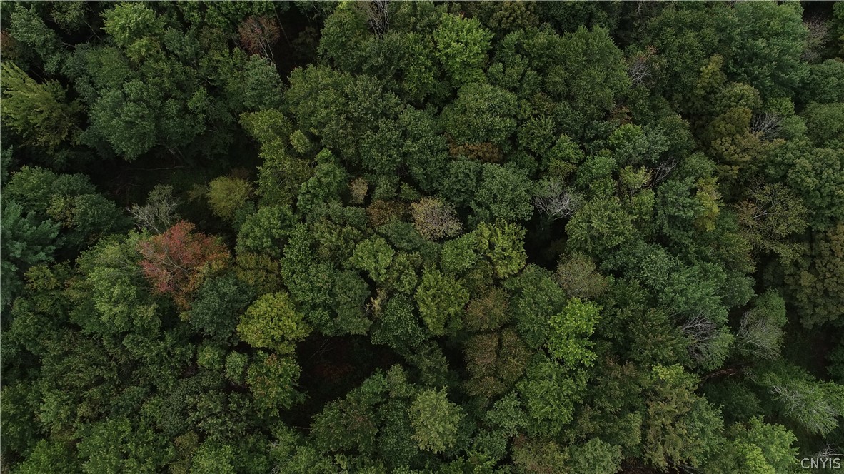 L5.1 L5.1 Cross Farm Road Hurleyville, NY 12747 - Photo 6 of 8