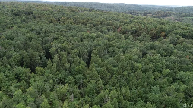 $275,000 | L5.1 L5.1 Cross Farm Road, Hurleyville, NY 12747