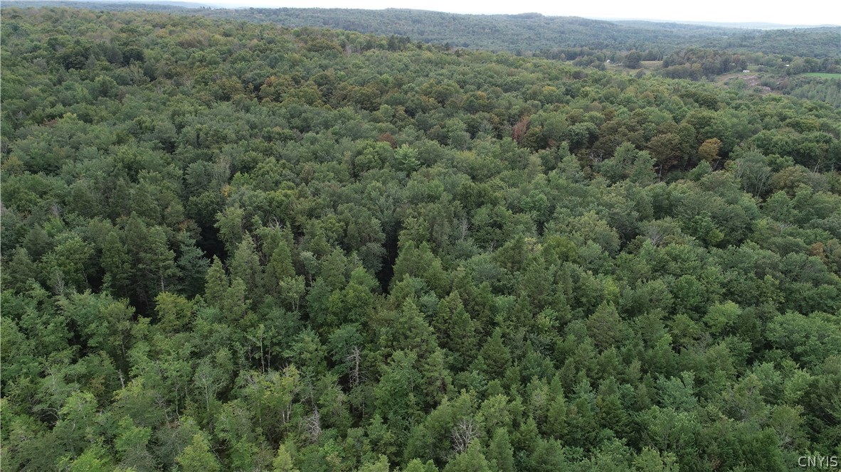 L5.1 L5.1 Cross Farm Road Hurleyville, NY 12747 - Photo 8 of 8