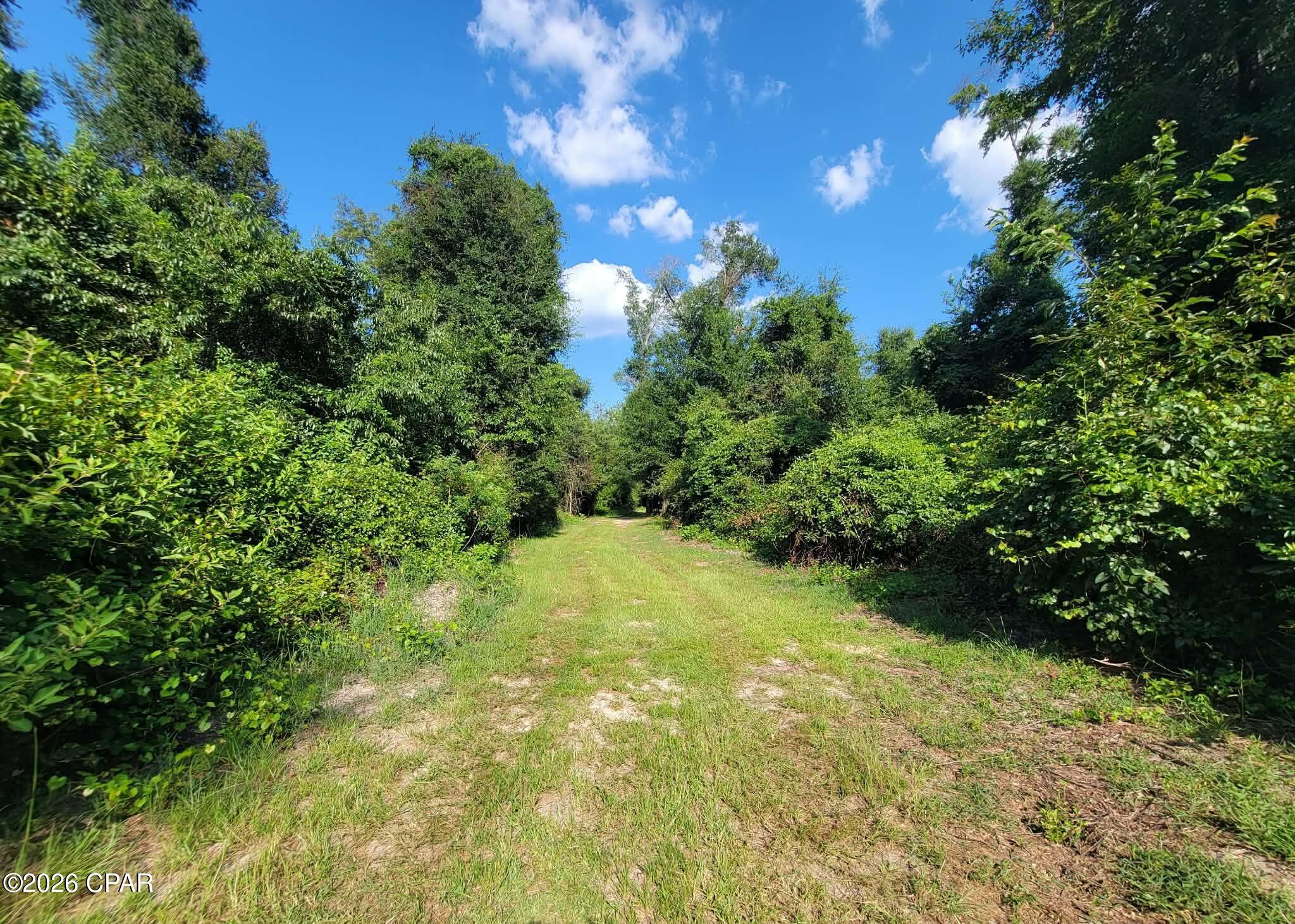 0 Ditty Road Bascom, FL 32423 - Photo 21 of 34