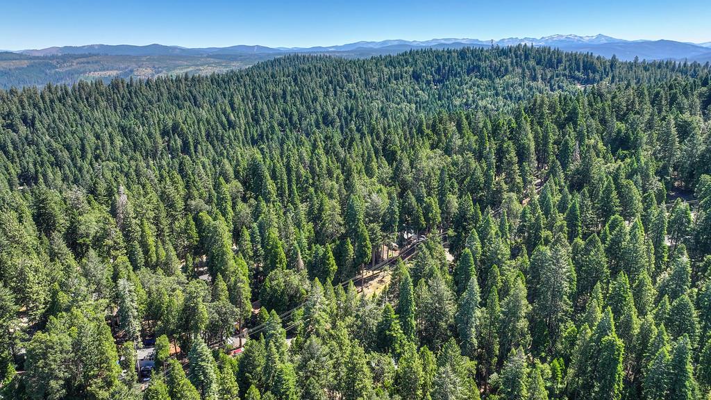 3644 Gold Ridge Trail Pollock Pines, CA 95726 - Photo 88 of 97