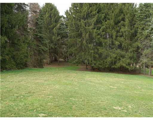133 Millerstown Road Tarentum, PA 15084 - Photo 14 of 16 Land/Lot. Beautiful yard