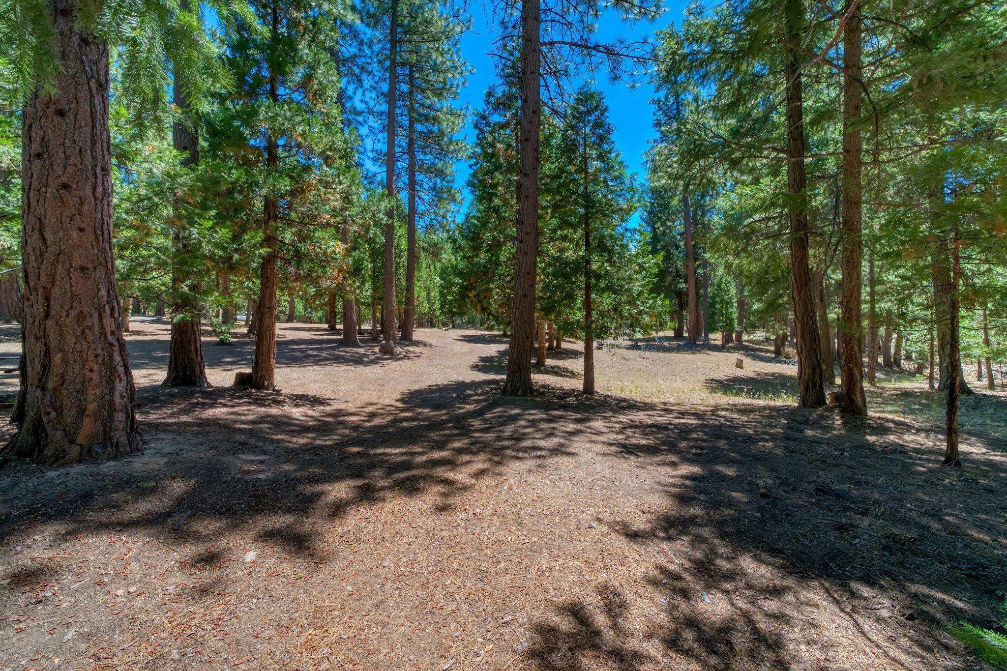 69467 Chipmunk Road Blairsden, CA 96103 - Photo 46 of 50