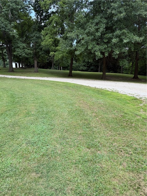 145 West Steidl Road Paris, IL 61944 - Photo 7 of 32