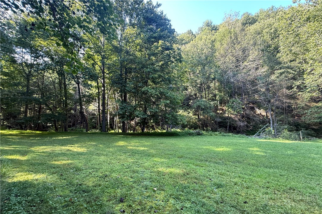 982 Jake's Mountain Road Deep Gap, NC 28618 - Photo 42 of 50 Gallery Image 42