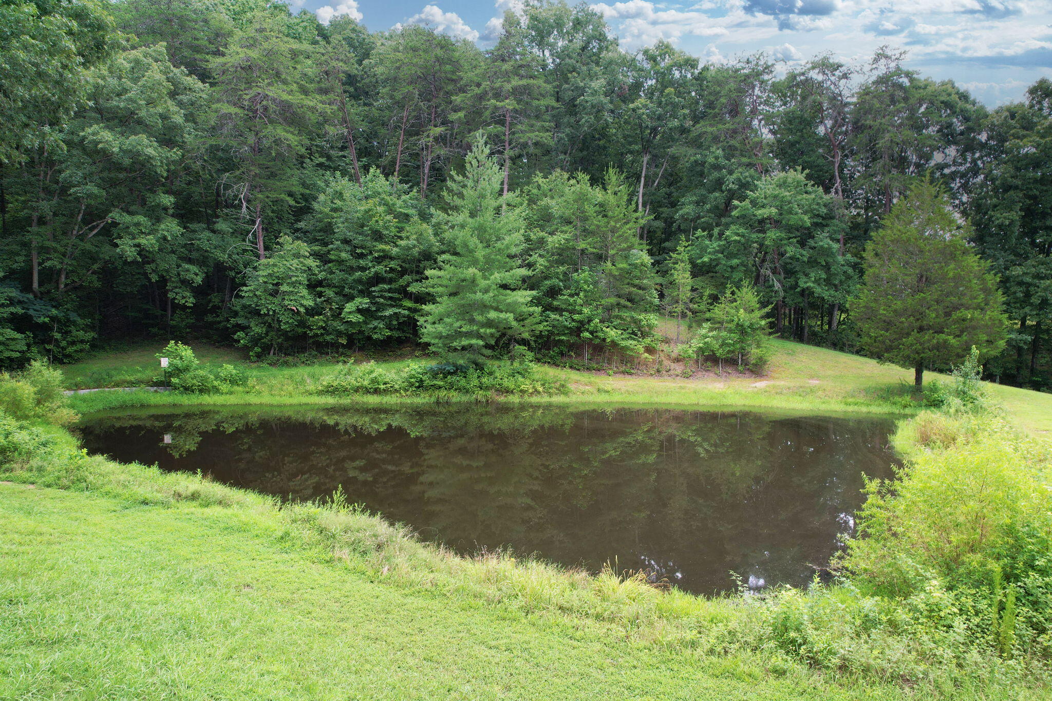1124 White Oak Road Northwest Cleveland, TN 37312 - Photo 25 of 35 7-web-or-mls-DJI_0079