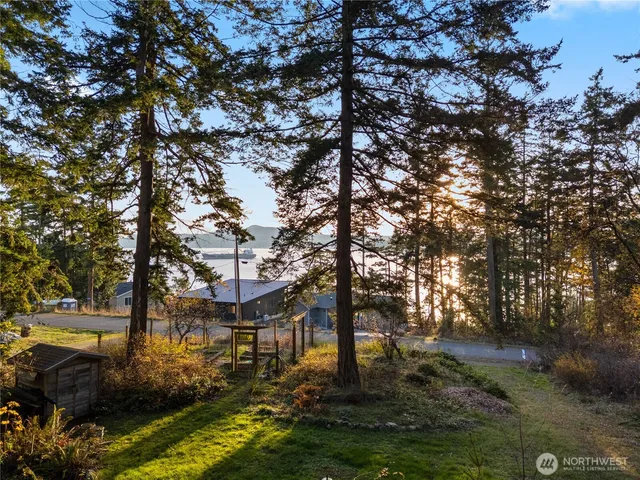 a view of a yard with large trees