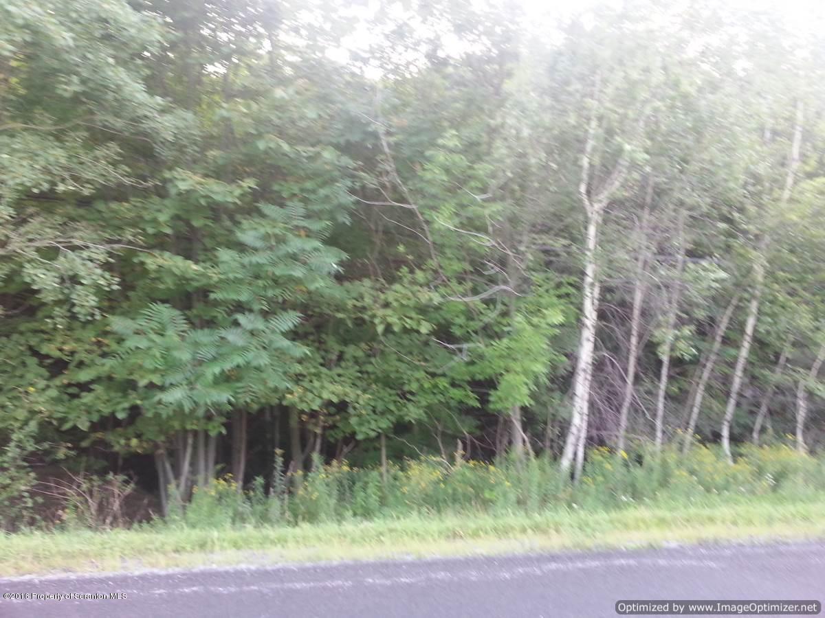 1019 Newton Road Clarks Summit, PA 18411 - Photo 41 of 42 Gallery Image 41