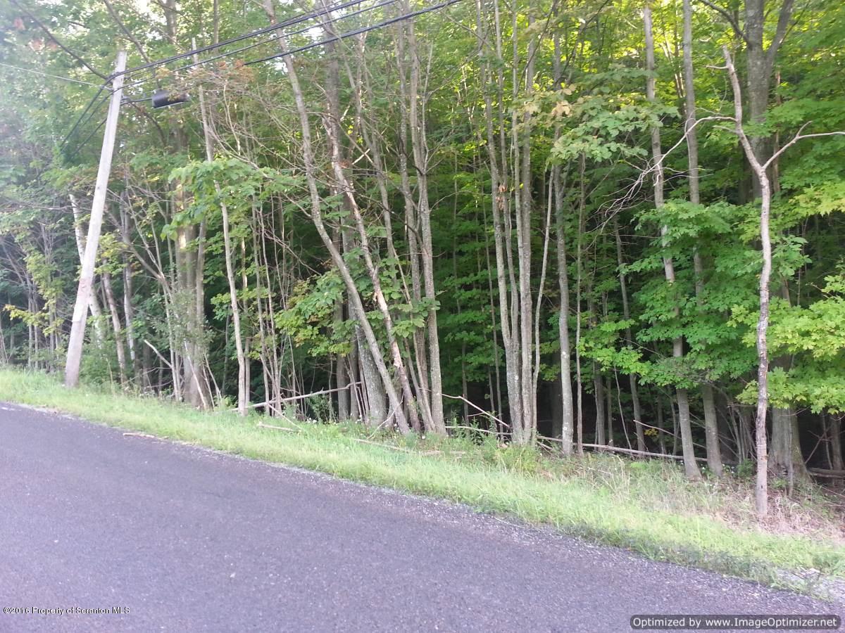 1019 Newton Road Clarks Summit, PA 18411 - Photo 42 of 42 Gallery Image 42