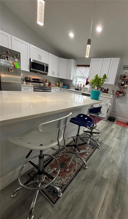 13849 Southwest 105th Place Dunnellon, FL 34432 - Photo 3 of 33