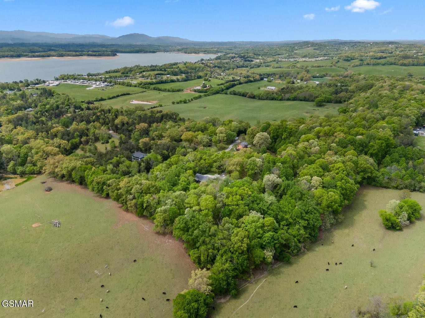 2180 Ranch Road Dandridge, TN 37725 - Photo 95 of 96 Gallery Image 95
