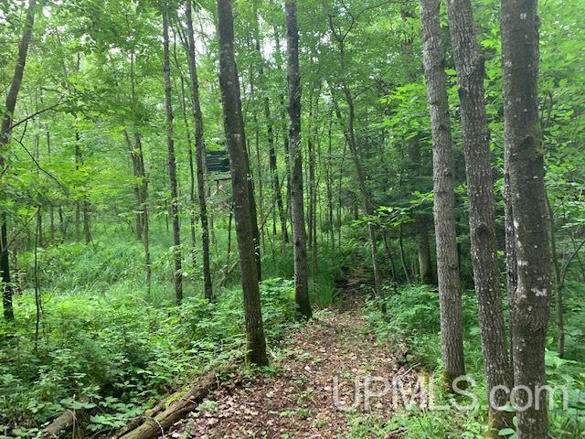 W8987 Co Road Pembine, WI 54156 - Photo 25 of 27