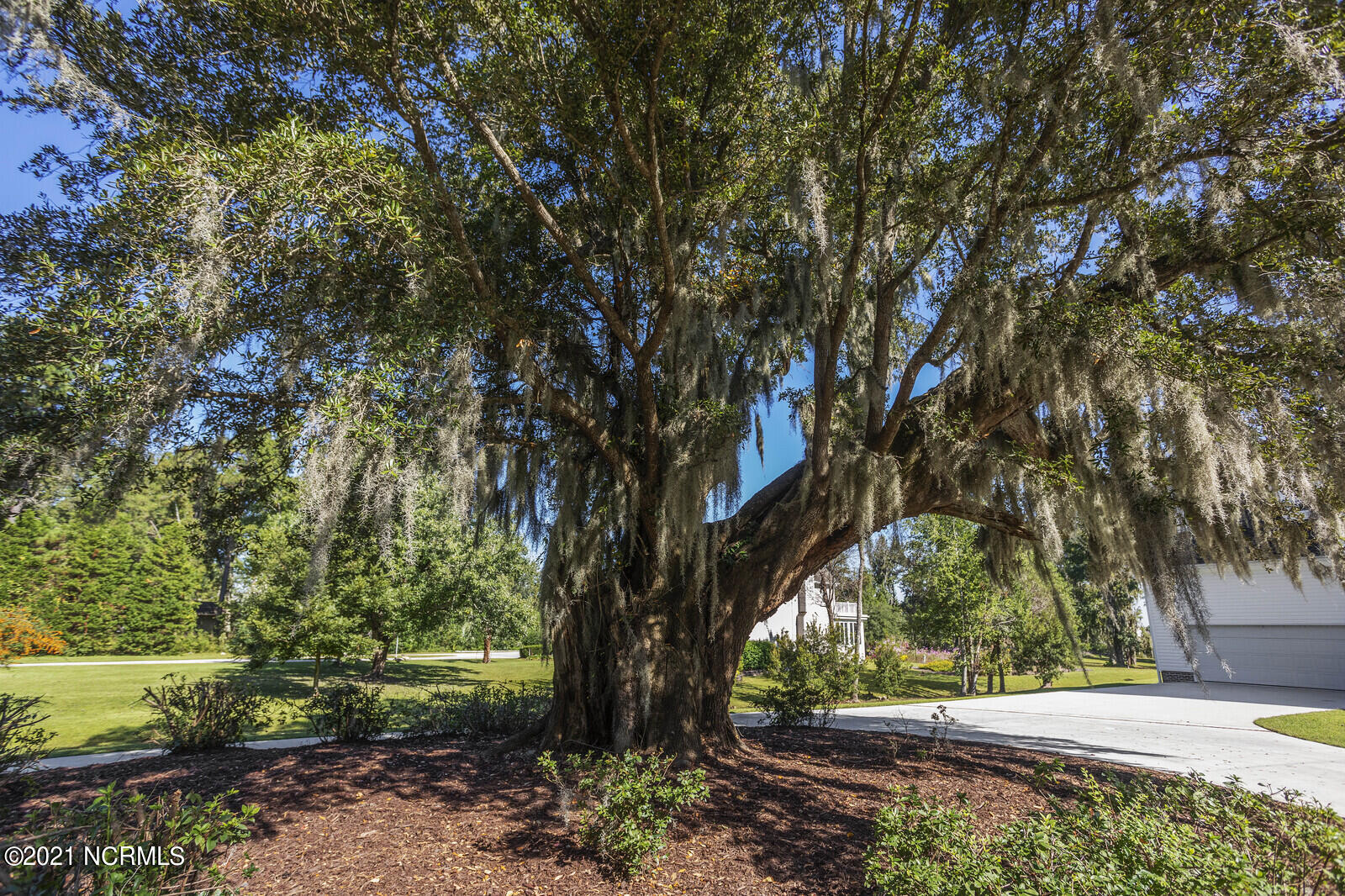 1228 Liberty Landing Road Southeast Winnabow, NC 28479 - Photo 82 of 94 Beautiful oak tree with Spanish moss in the front circle drive.