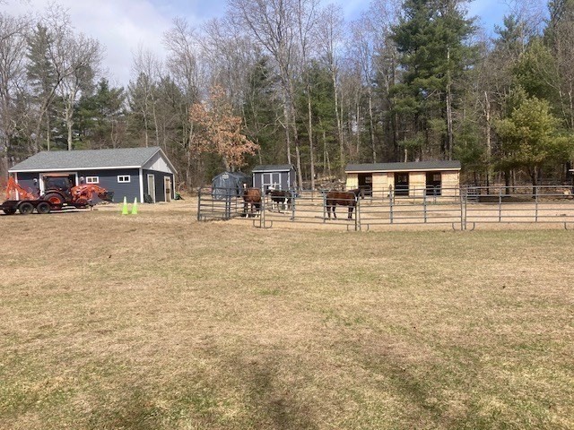75 Kendall Street Granby, MA 01033 - Photo 29 of 37