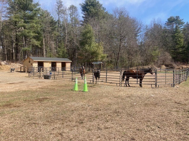 75 Kendall Street Granby, MA 01033 - Photo 34 of 37