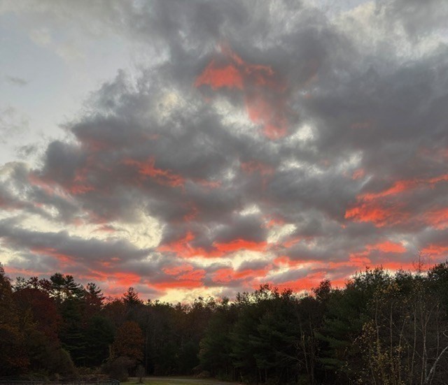 75 Kendall Street Granby, MA 01033 - Photo 36 of 37