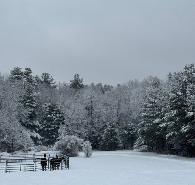 75 Kendall Street Granby, MA 01033 - Photo 37 of 37