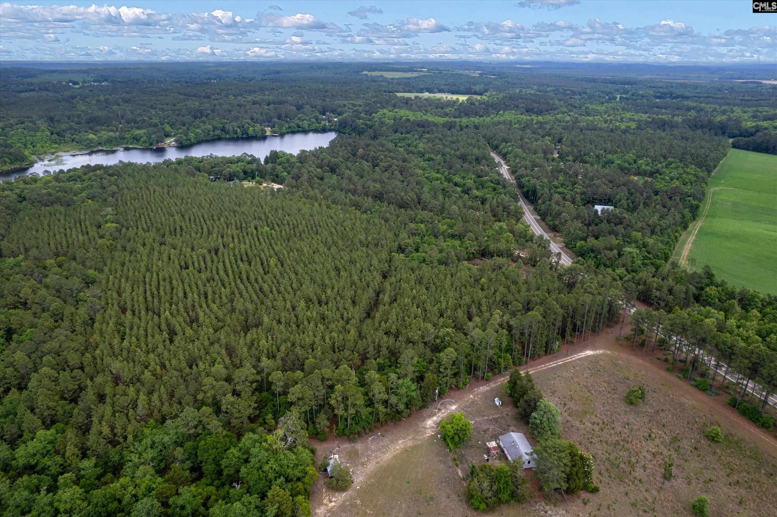 0 Pond Branch Road Gilbert, SC 29054 - Photo 9 of 12