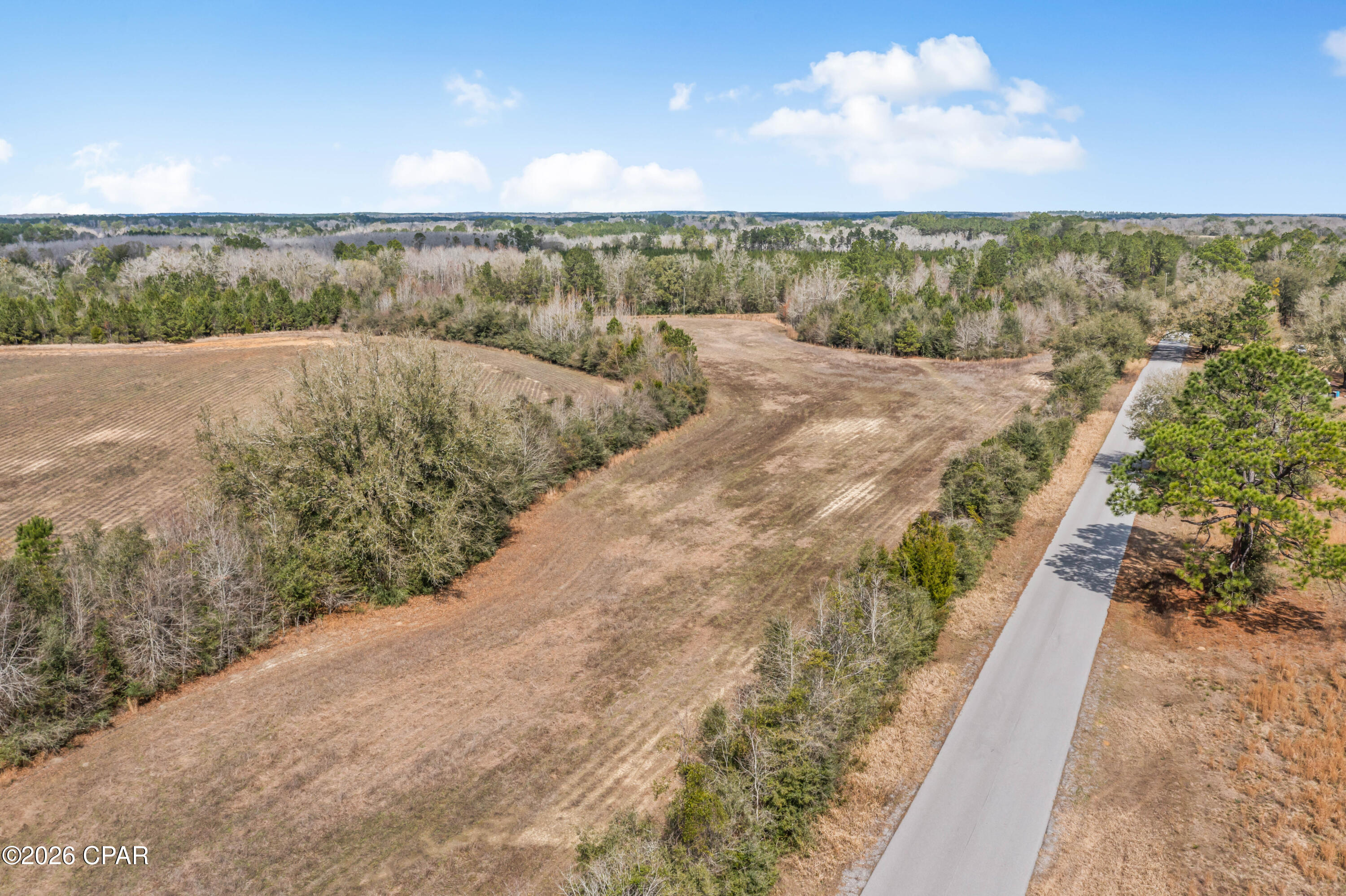 Lot 2 Bradley Road Westville, FL 32464 - Photo 4 of 11