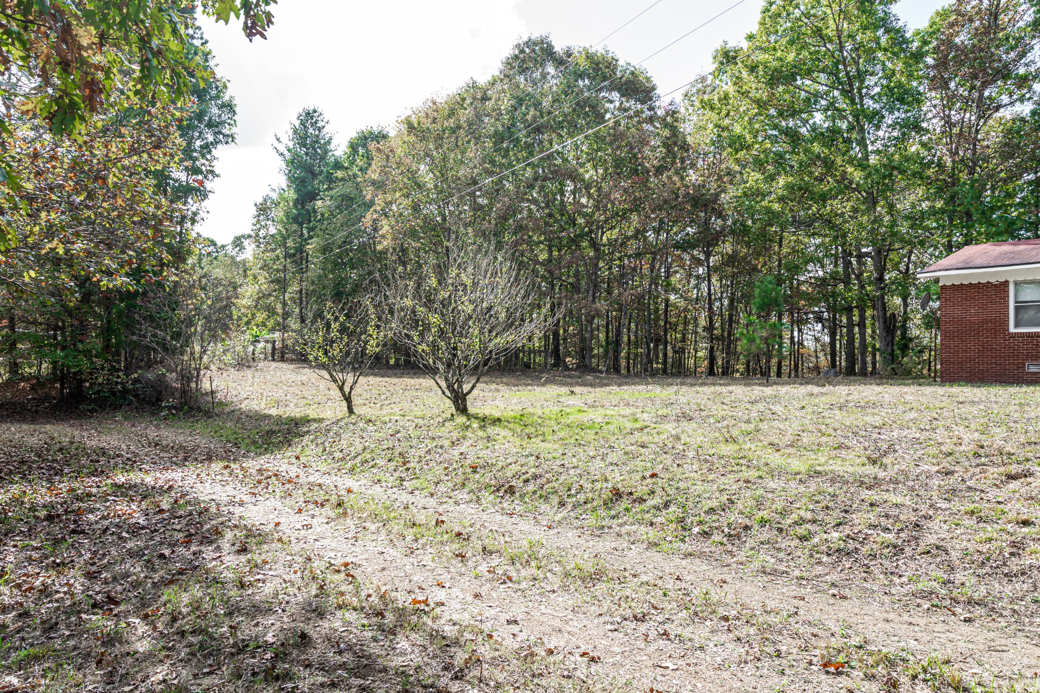 382 Fire Tower Road Erin, TN 37061 - Photo 14 of 19 Gallery Image 14