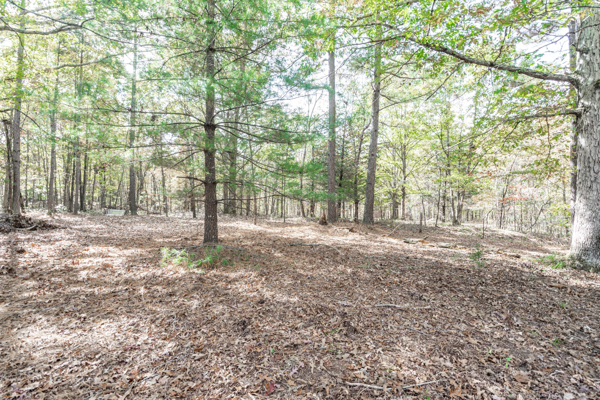 382 Fire Tower Road Erin, TN 37061 - Photo 17 of 19 Gallery Image 17