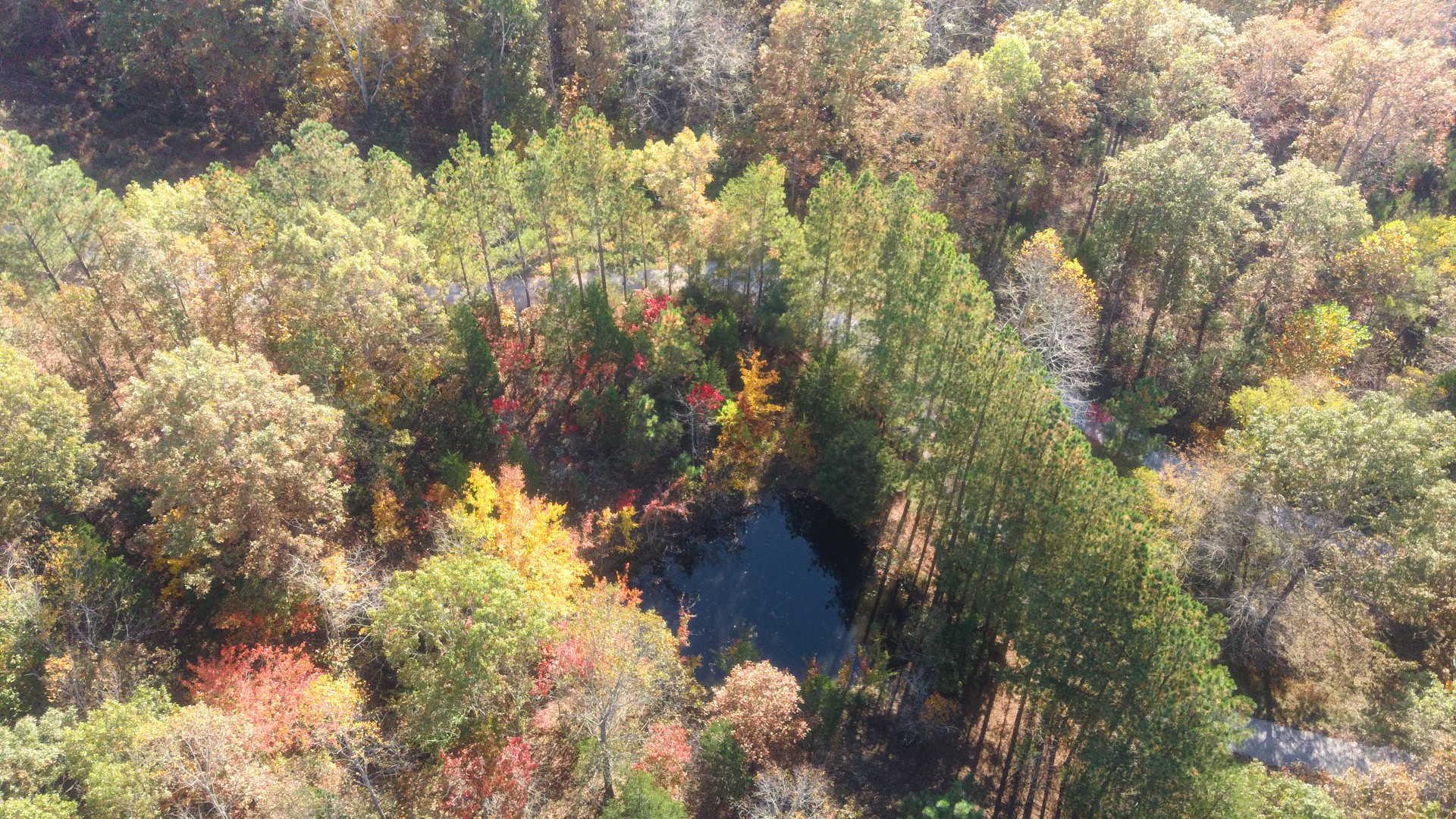 382 Fire Tower Road Erin, TN 37061 - Photo 18 of 19 Gallery Image 18