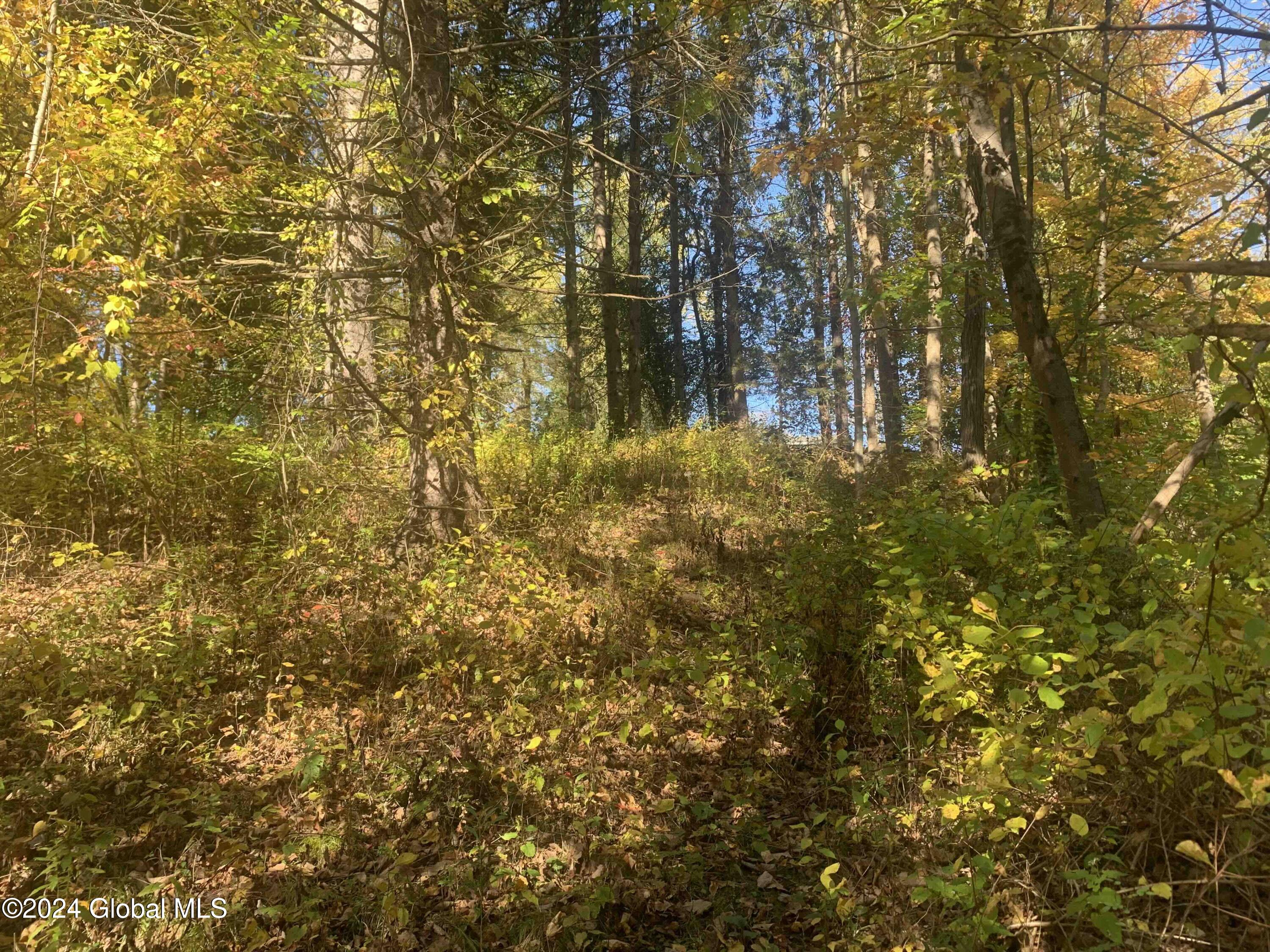 2 Millard Road Melrose, NY 12121 - Photo 8 of 12 CAR2ac7