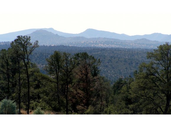 6565 West Almosta Ranch Road Prescott, AZ 86305 - Photo 1 of 5 Primary Photo
