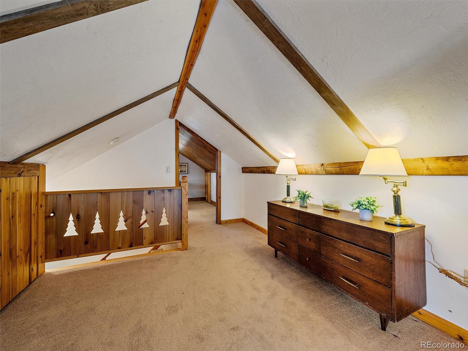 1406 Sinton Road Evergreen, CO 80439 - Photo 28 of 47