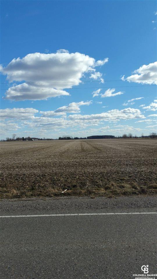 Vacant Land North State/allan Road Owosso, MI 48867 - Photo 1 of 7