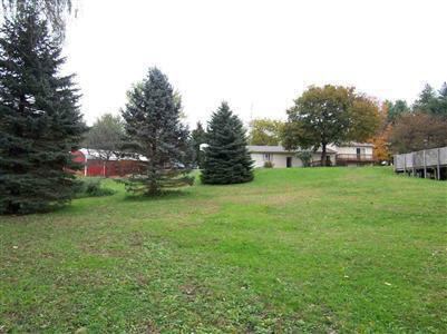 20281812-4.JPG