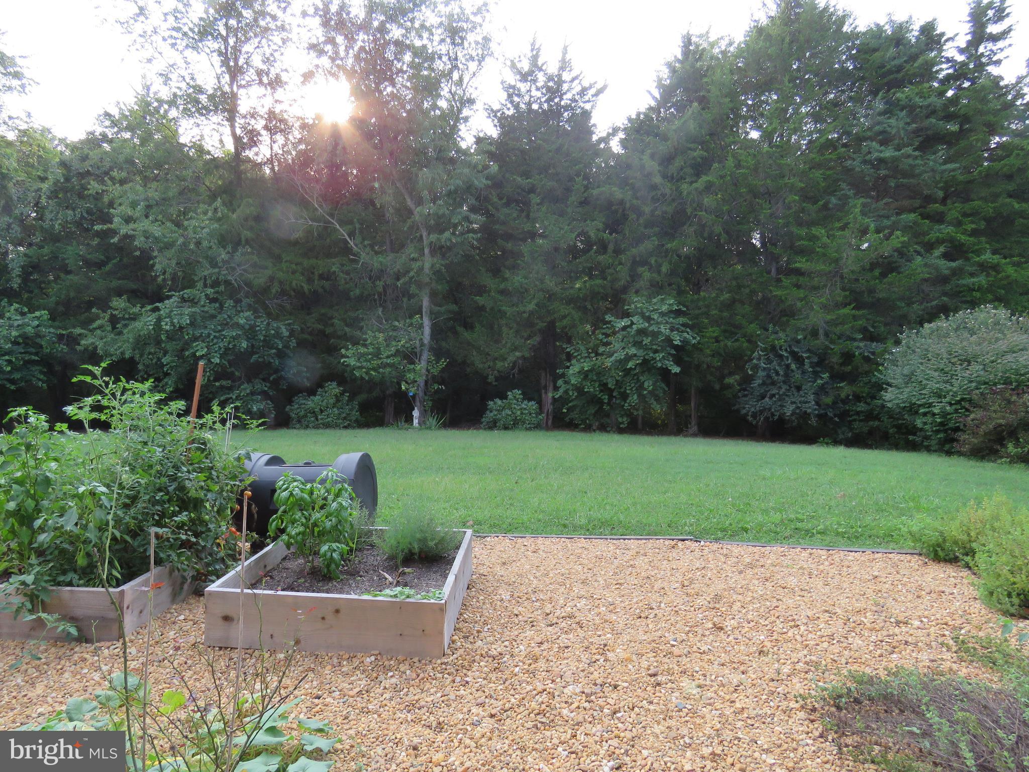 19051 Stallion Road Culpeper, VA 22701 - Photo 14 of 30 just enough grass to mow!