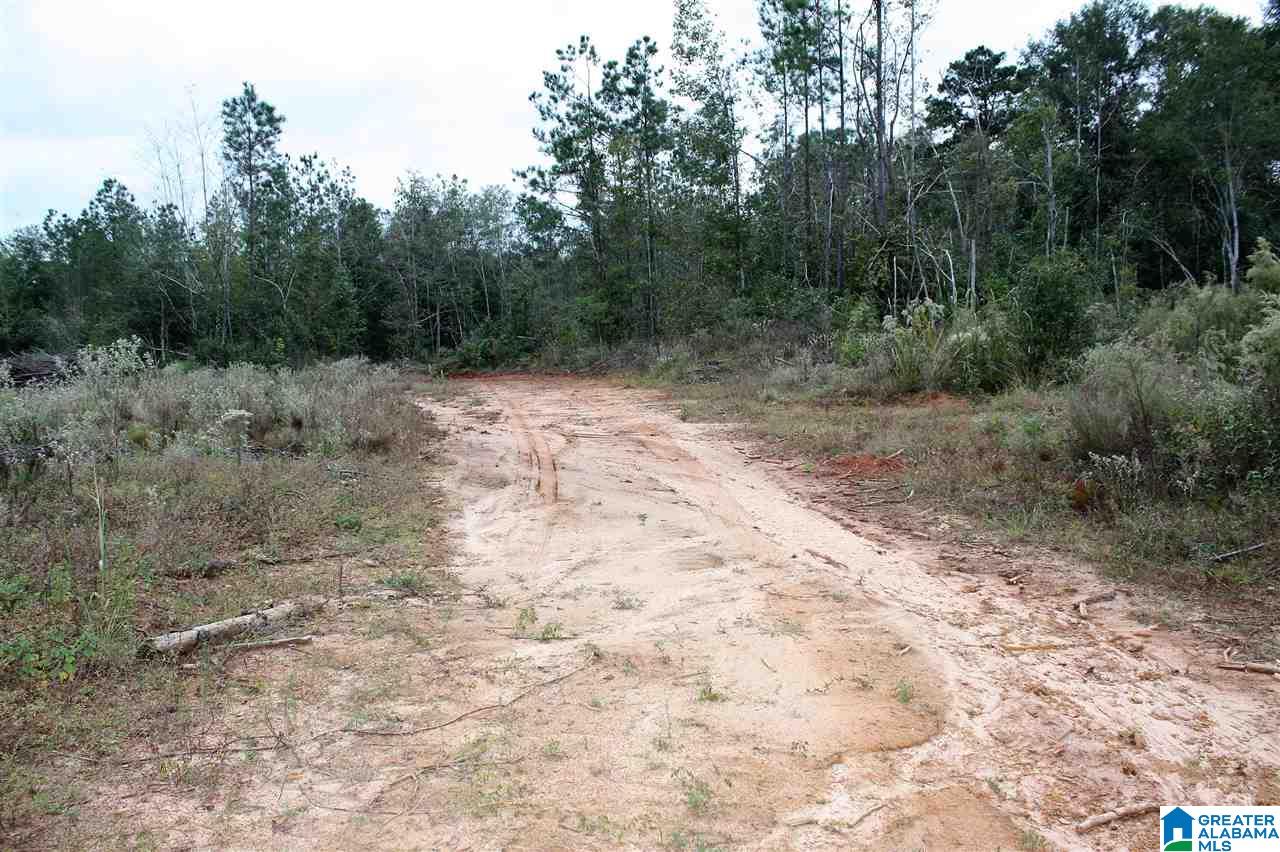 608 Cahaba Road, Unit 608 Greenville, AL 36037 - Photo 9 of 11